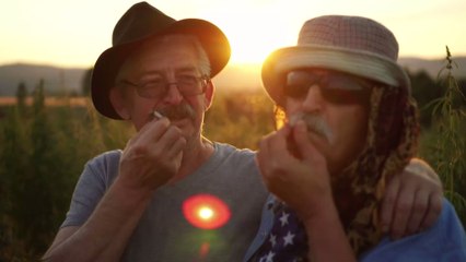 According to a study, cannabis smokers have more sex than others