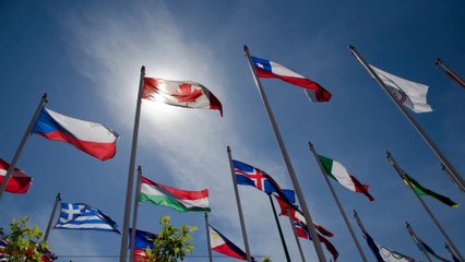29 athletes set to compete on the refugee team at Tokyo Olympics