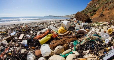 Using These 3 Plastic Products Will Be ILLEGAL In 2020