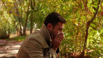 Study reveals sexual intercourse could be the cure to hay fever