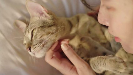 Elderly woman's cats devour her body from the waist up