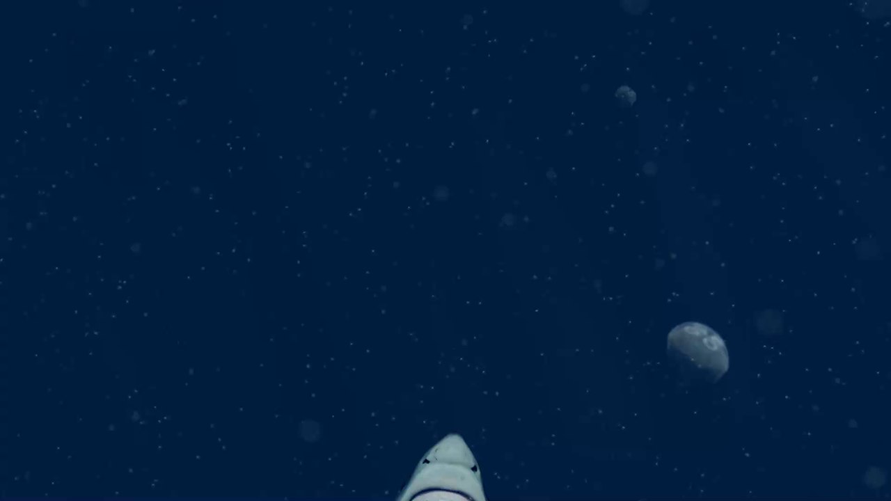 Fishermen catch a great white shark just one mile off the coast