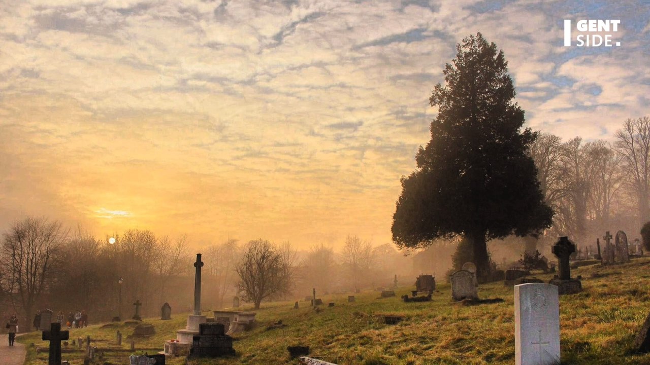 DNA of a vampire's skeleton reveals the secrets of the 'undead creature'
