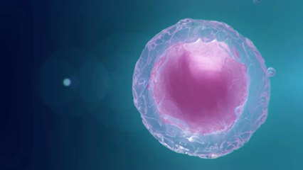 American researcher wants to send millions of sperm to the moon