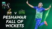 Peshawar Zalmi Fall Of Wickets | Peshawar Zalmi vs Multan Sultans | Match 13 | HBL PSL 7 | ML2G