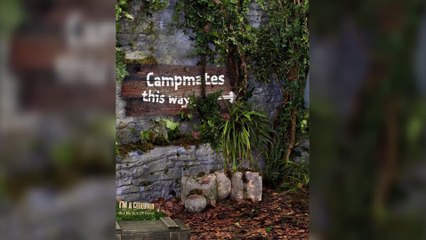 These familiar faces could be returning to 'I'm A Celeb 2020'