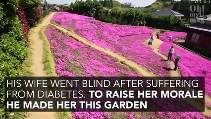 He Planted Thousands Of Flowers For His Blind Wife