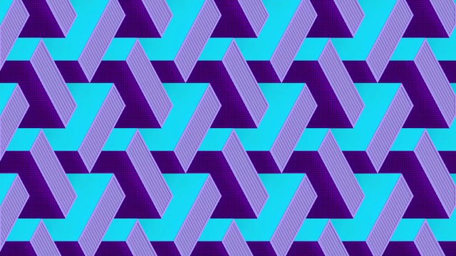 Can You See a Silhouette Hidden in This Optical Illusion?