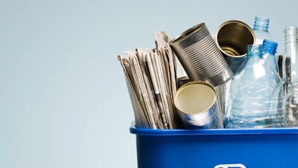 One in four Brits admit they fail to recycle regularly