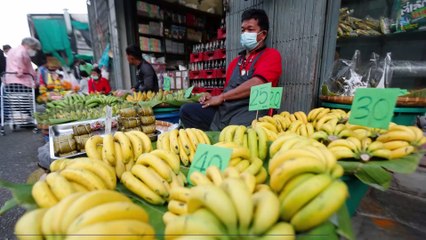 Police found 21 kilos of cocaine hidden in banana shipment