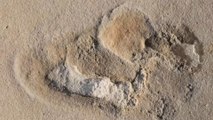 Oldest footprints of pre-humans discovered in Crete