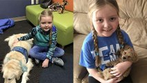 Suffering From A Brain Tumour, This Little Girl Finds Comfort In Dogs