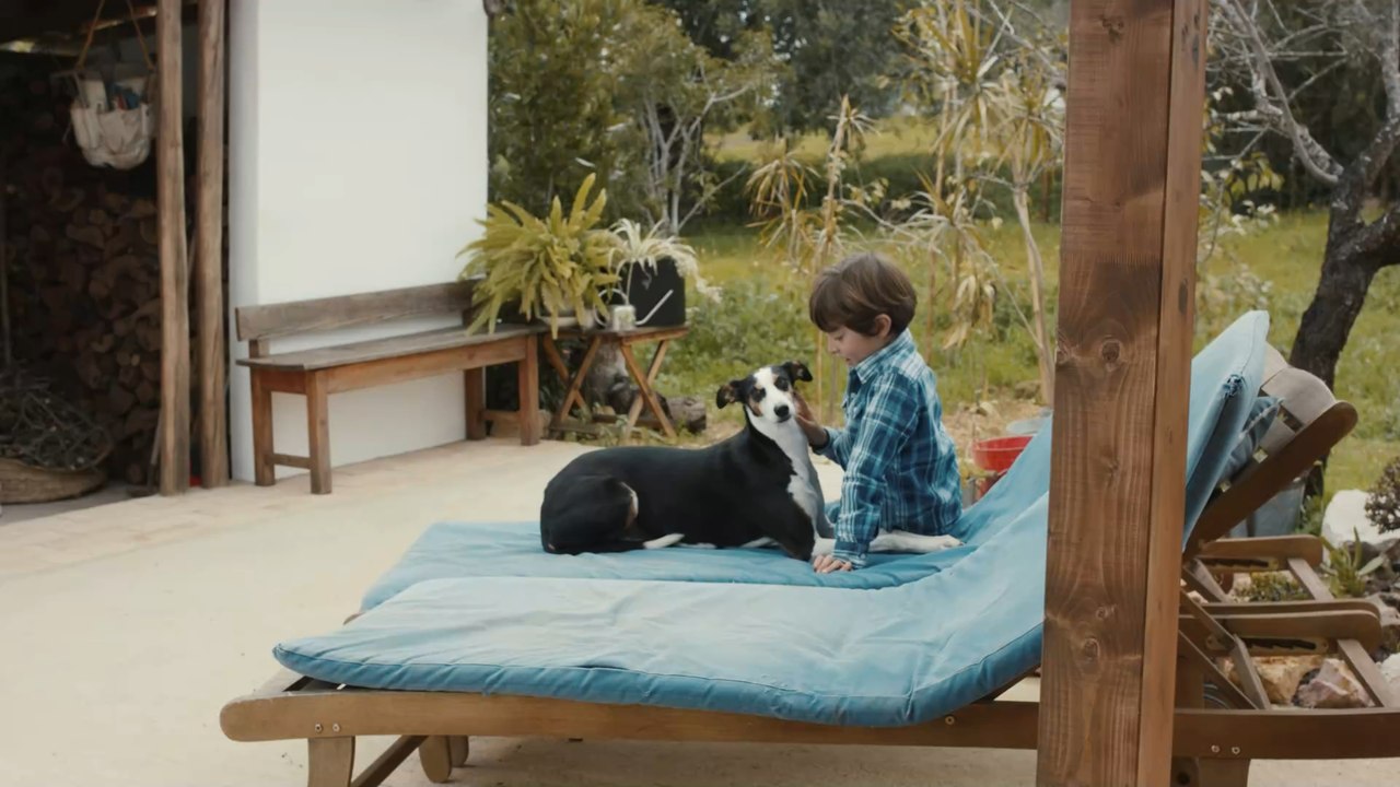 Animal attack Dog viciously kills 10yearold boy video