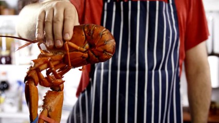 Boiling lobsters alive may soon be illegal as report suggests they have feelings