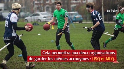 J. K. Rowling accusée de transphobie, le Quidditch prêt à changer de nom