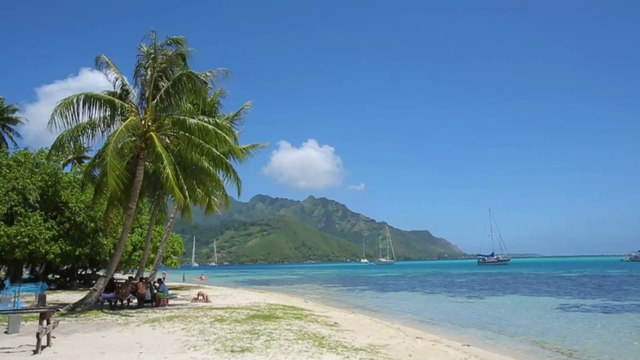 British family’s £15k dream holiday to Tahiti crashed after they were detained and deported