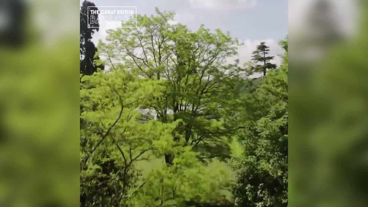 The Great British Bake-Off 2021 line-up has been revealed