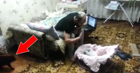 When She Saw Him Hitting The Baby, This Cat Had An Incredible Reaction