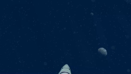 Drunken man throws himself at a massive shark from his boat