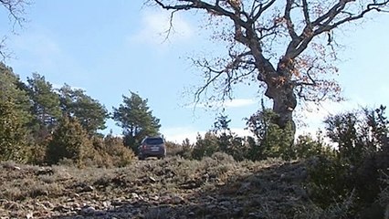 Nissan Pathfinder 2010 (dynamique)