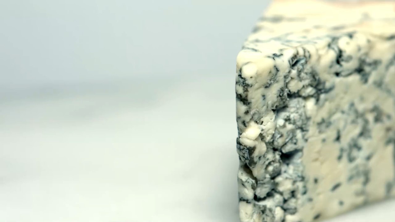 2,700-year-old poop shows ancient Europeans enjoyed beer and blue cheese