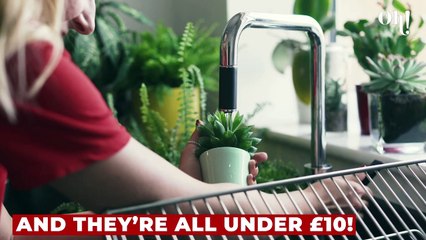 These Lidl items will help you brighten up your lockdown... and your room!