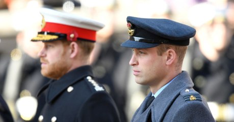 Is Drama Tearing Prince William and Prince Harry Apart?