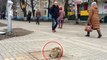 This Cat Sat Waiting On This Same Drain Cover Every Day For A Year For The Most Tragic Reason