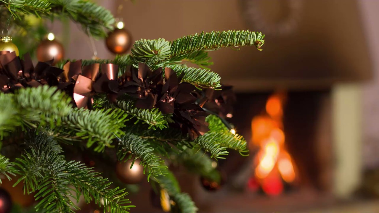 How to make your Christmas tree last longer