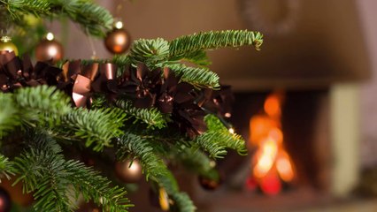 How to make your Christmas tree last longer