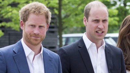 Who is Laura Lopes? What you don’t know about William and Harry’s stepsister