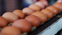 This incredible trick for cracking eggs will change your life