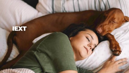Study shows women sleep better next to dogs than their partners