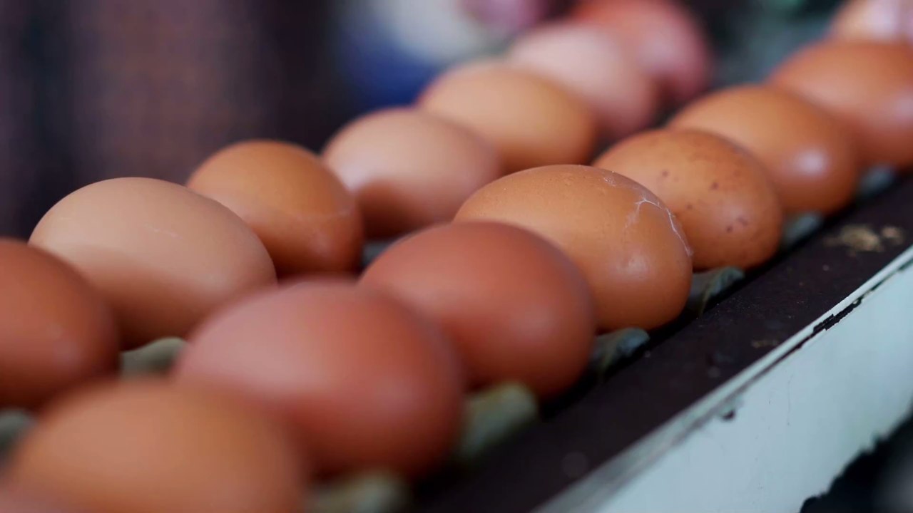 This popular diet could increase your risk of infertility