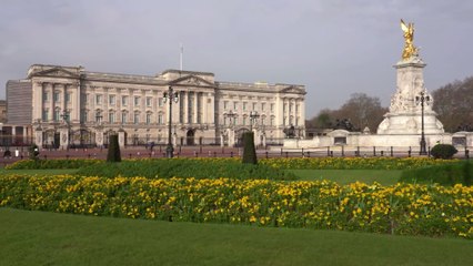 Buckingham Palace gardens will be open for business this summer