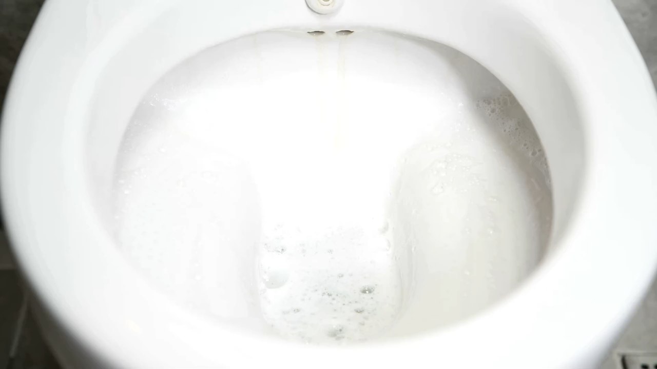 This is why you should not flush a tampon down the toilet