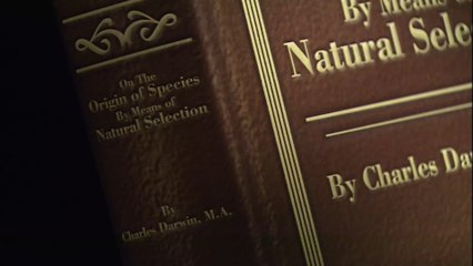 This is the genre you should read based on your zodiac sign