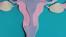 Everything you need to know about the menstrual cycle