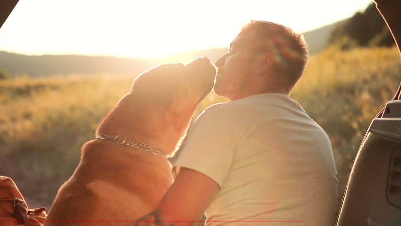 Tips for leaving your dog home alone