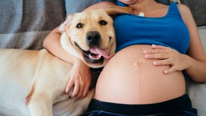 She discovered she was sick when her dog started whining near her pregnant belly