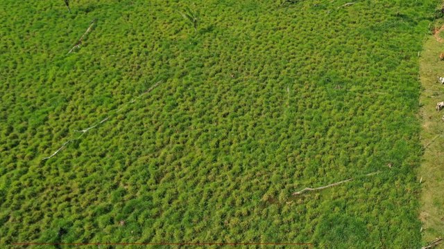 Fury over controversial milk advertisement depicting women as cows