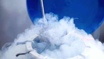 Aspiring parents can now store eggs and sperm for 55 years