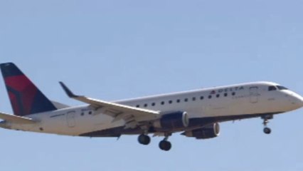 Woman breastfeeds cat on-board flight in front of passengers