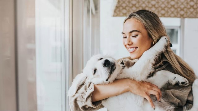 Voici les astuces pour savoir si votre chien vous apprécie vraiment