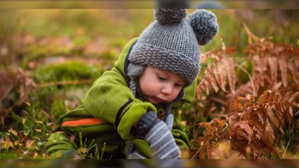 Russie : une fillette de 2 ans survit livrée à elle-même en pleine forêt