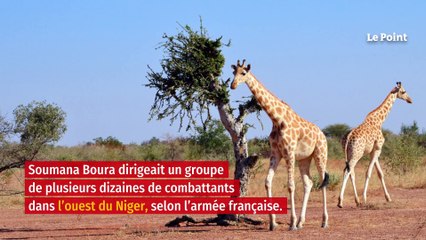 Humanitaires assassinés au Niger : un des auteurs tué par l’armée française