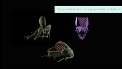 Le journal de la maison - D'étranges animaux