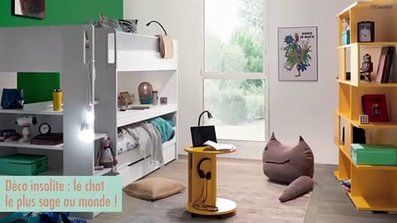 Le journal de la maison - Le chat