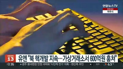 유엔 "북 핵개발 지속…가상거래소서 600억원 훔쳐"