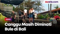 Canggu Masih Diminati Bule di Bali Meski Indonesia Masuk Gelombang Ketiga Pandemi Covid-19